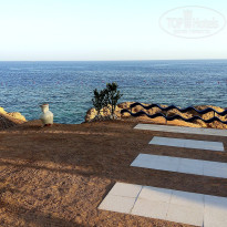 фото из отзыва ID 2739923