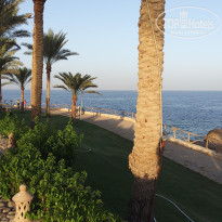 фото из отзыва ID 2739923