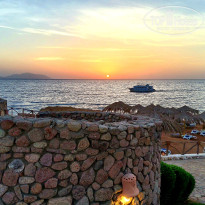 фото из отзыва ID 2739923