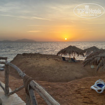 фото из отзыва ID 2739923