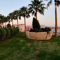 фото из отзыва ID 2739923