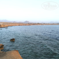 фото из отзыва ID 2739923