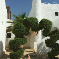 фото из отзыва ID 2739923