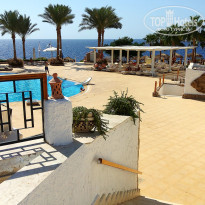 фото из отзыва ID 2739923