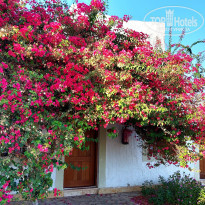 фото из отзыва ID 2739923