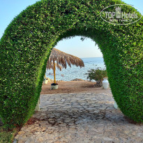 фото из отзыва ID 2739923