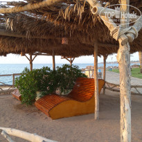 фото из отзыва ID 2739923