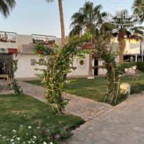 фото из отзыва ID 2739923