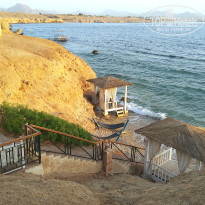 фото из отзыва ID 2739923