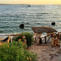 фото из отзыва ID 2739923