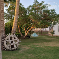 фото из отзыва ID 2739923