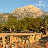 фото из отзыва ID 2739936