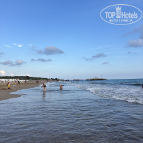 фото из отзыва ID 2739944