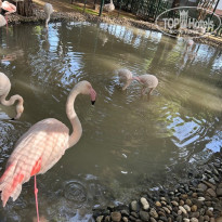 фото из отзыва ID 2739950