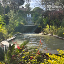 фото из отзыва ID 2739950