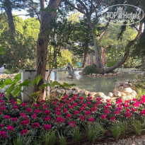 фото из отзыва ID 2739950