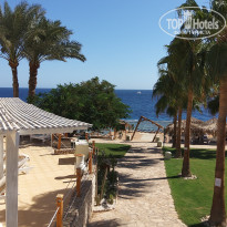 фото из отзыва ID 2739923