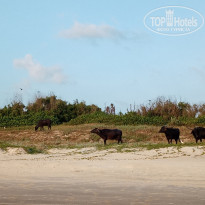 фото из отзыва ID 2739970