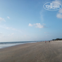 фото из отзыва ID 2739970