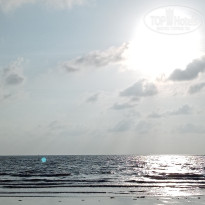 фото из отзыва ID 2739970