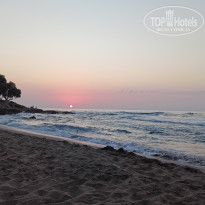 фото из отзыва ID 2739949