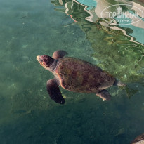 фото из отзыва ID 2739949