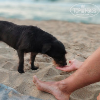 фото из отзыва ID 2739949