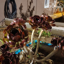 фото из отзыва ID 2739949