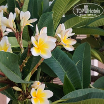 фото из отзыва ID 2739949