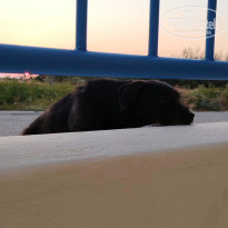 фото из отзыва ID 2739949