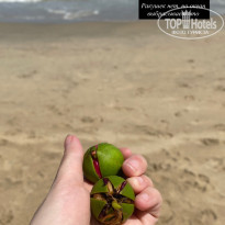 фото из отзыва ID 2739977