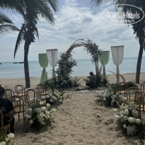 фото из отзыва ID 2739983