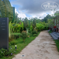 фото из отзыва ID 2739985