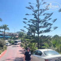 фото из отзыва ID 2739465