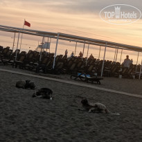 фото из отзыва ID 2739856