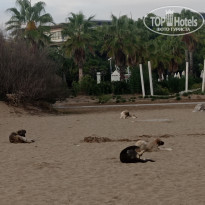 фото из отзыва ID 2739856