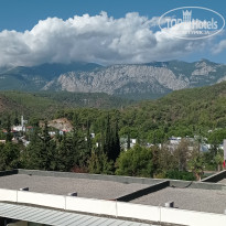 фото из отзыва ID 2739538