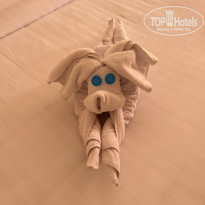 фото из отзыва ID 2737662