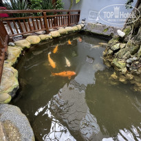 фото из отзыва ID 2739435