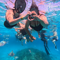 фото из отзыва ID 2734209