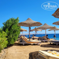 фото из отзыва ID 2734209