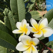 фото из отзыва ID 2739882