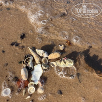 фото из отзыва ID 2739882