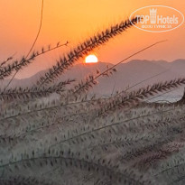 фото из отзыва ID 2736011