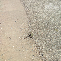 фото из отзыва ID 2736143