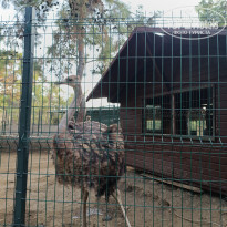 фото из отзыва ID 2739594