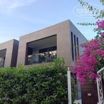 фото из отзыва ID 2739594