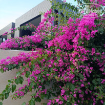 фото из отзыва ID 2739594