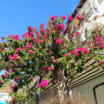 фото из отзыва ID 2739594