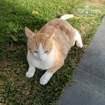 фото из отзыва ID 2739594